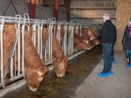 Jens Anton Nørremark har indrettet stald til de 20 køer i den tidligere foderlade