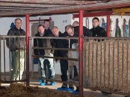 Jens Anton Nørremark (tv) forklarer de besøgende om hvordan en bindestald gøres til en løsdriftsstald