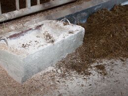 Indretningsdetalje – kalkkrybbe