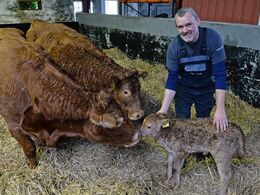 Jens Frøsig, forud for åbent hus. Besætningen har 12 moderdyr. Foto: LLN Pres