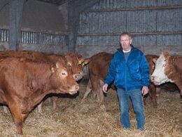 Jes Schneider blandt køerne, hvoraf enkelte – som det ses – ikke er helt renracede