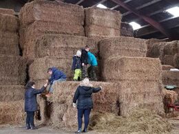 Børnene leger i halmen