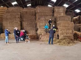 Besøgende af alle slags