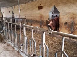 Tyrenes ædeareal, en gammel foderautomat er lavet om til mineraler