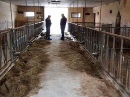 Der blev også tid til snak ved ungdyrenes foderpladser, der fodres med wraphø og korn