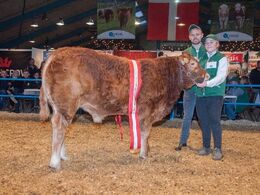 Katalog nr 94 Bøgely Mister - bedste yngre tyr - fra Tommy Jessing, Brørup