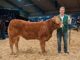 Katalog nr. 121 Kloster Lilje - ærespræmie - fra Søren Grunnet, Billund