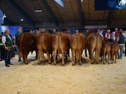 Bedste besætningsgruppe fra Lynge Limousine v/ Per Laursen