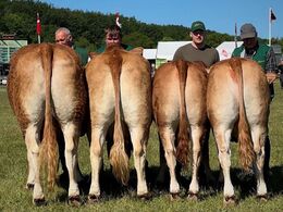 Besætningsgruppe fra Anders Lange