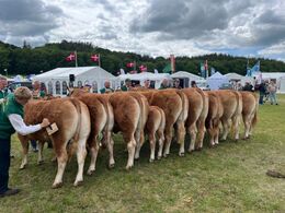 Ærespræmiebedømmelse