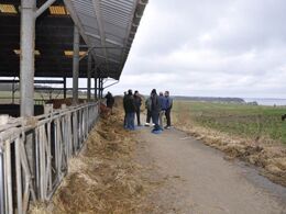Samtale limousinefolk imellem foran den flotte udsigt over fjorden