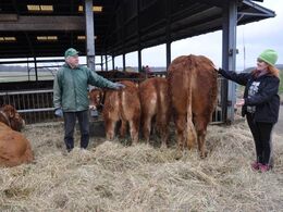 Værtsparret, Tove og Hans Kjeld Hansen, slutter af efter en god åbent-hus-dag med rigtigt mange besøgende