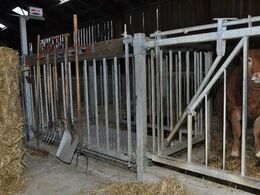 Detalje: Vægten er indbygget mellem to stier