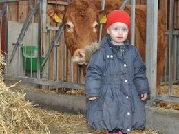 Lille Inger er dog ikke helt stolt ved at være tæt på de store limousiner