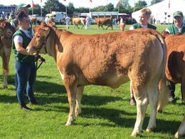 Karensminde Ofelia, ærespræmie