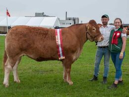 Bøgely Nuca, ærespræmie og bedste ældre kvie