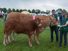 Doverodde Meriza, ærespræmie og bedste yngre ko