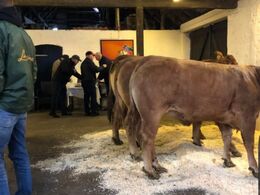 Områdemøde i Syd med besætningsbesøg hos Mogens Ladefoged d. 20/2