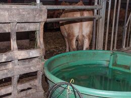 Der kunne spottes flere praktiske detaljer i besætningen – her anvendelsen af drikkekar