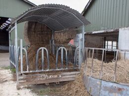 Ungdyrene får deres grovfoder i denne hjemmelavede foderhæk