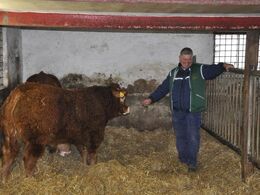 Niels Larsen fremviser sine ca 10 mdr. gamle tyre med dobbeltmuskulatur