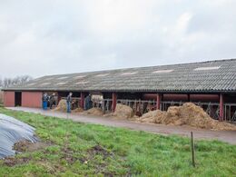 26 køer med opdræt under eet tag i en stald med udvendigt foderbord