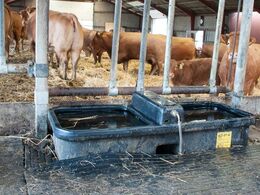 Detalje vedr. drikkekar