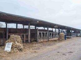 En stald behøver ikke være bygget af mursten – det så de besøgende hos Ribemark Limousine ved Ribe i område Syd