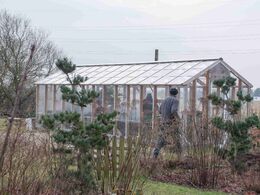 Efter kig på limousiner og stald var der pølser og hygge i drivhuset