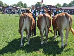 Besætningsgruppe fra Jan Henriksen