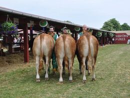 Bedste besætning fra Kirsbærgård Limousine v. Jan Henriksen
