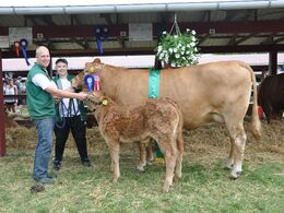 Gandrup Hilda efter Adrian. Bedste ko, 23 point og ærespræmie. Ejer Niels Bøje Petersen