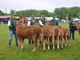 Her 2 hold kvier. Kvier 5-10 mdr, fløj til Jonas Henriksen. Kvier 12-15 mdr med 1 kvie i holdet gav fløj til Jan Henning Henriksen