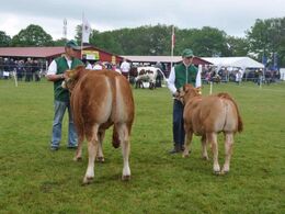 Tyre 7-10 mdr og tyre 10-12 mdr tilhørende hhv Alex Kurt Jepsen og Jacob Kjærsgaard Jørgensen