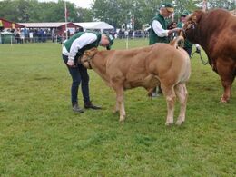 Der er bare kød på den lille fyr, Præstegårdens Obelix sammen med Magnus.