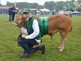 Magnus med bedste køddyr