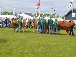 Så kom solen endelig!