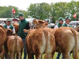 Så gøres der klar til besætningskonkurrence