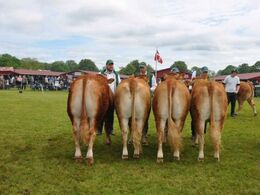 Besætningsgruppe fra Hans Kjeld Hansen