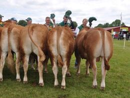 Der klappes af vinderen af besætningskonkurrencen, Jacob Kjærsgaard Jørgensen, og trækkerne løfter kasketterne til hilsen
