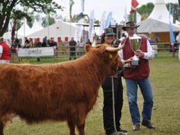 Vinderen blev en skotte
