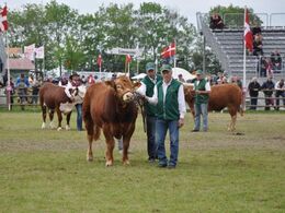 Interbreed for handyr