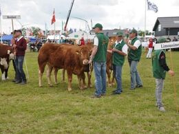 Der stilles op til interbreed for besætninger