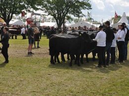 Lige ved og næsten. Jacob Kjærsgårds besætninge blev nr. 2 og 1.pladsen gik til Angus