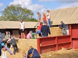 En halmbunke er altid en god legeplads. Roskilde dyrskue slog i år rekord med besøgstal på over 113.000. Tak for et godt Roskilde Dyrskue 2019!