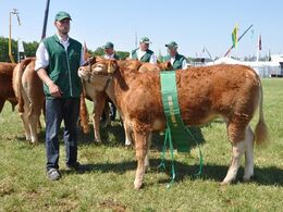 Løserupgård Liva. Bedste pollede dyr, 23 point og ærespræmie. Ejer Jacob og Hans Kjeld Hansen