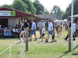 Vue ned gennem staldrækkerne