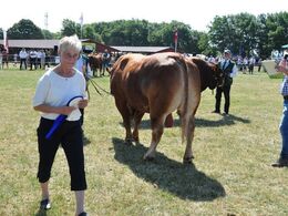 Anne Hellmann, dommersekretær,  i fuld firspring med rosetterne