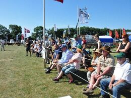 Pænt med tilskuere til Limousinernes bedømmelse