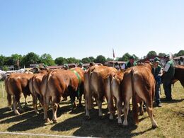 Stå så ordentligt!